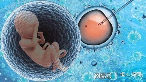 遗传咨询